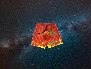 FIRE MARKAS SHORTS